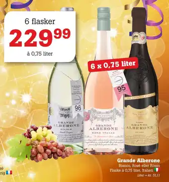 Poetzsch Padborg Grande alberone tilbud