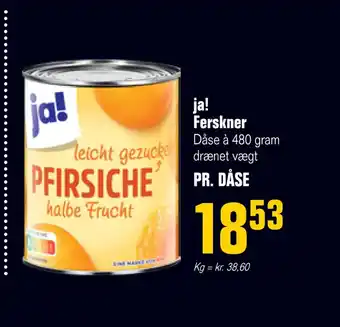 Poetzsch Padborg Ja! ferskner tilbud