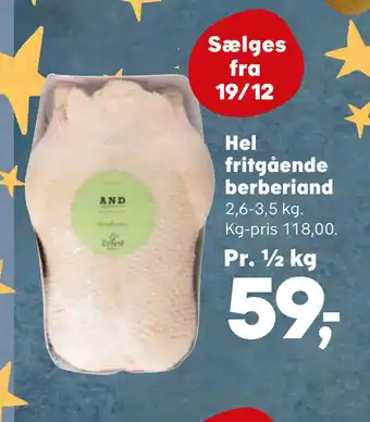Hel fritgående berberiand