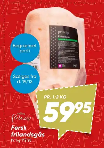 Bilka Fersk frilandsgås tilbud