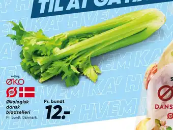 Bilka Økologisk dansk bladselleri tilbud