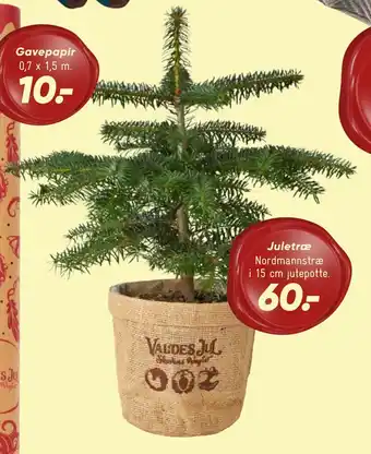 Bilka Juletræ tilbud