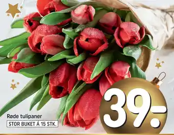 REMA 1000 Røde tulipaner tilbud