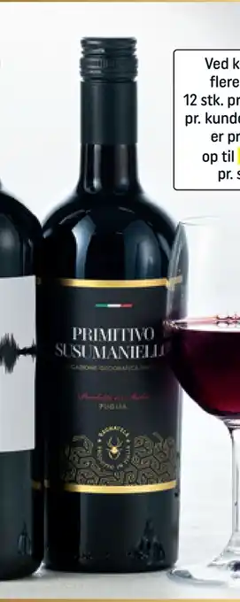 REMA 1000 Ragnatela primitivo susumaniello tilbud