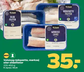 Netto Velsmag rødspætte, mørksej eller sildefileter tilbud