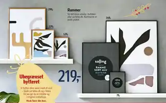Føtex Rammer tilbud