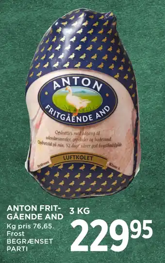 MENY Anton fritgående and tilbud