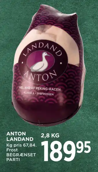 MENY Anton landand tilbud