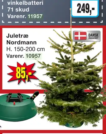 Harald Nyborg Juletræ nordmann tilbud
