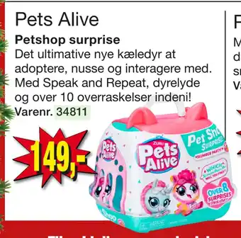 Pets alive