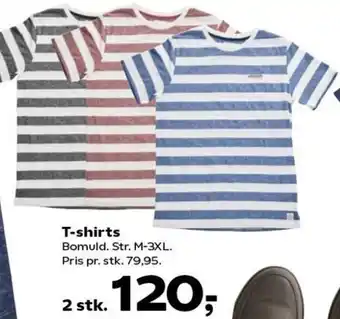 T-Shirts M-3XL 2 Stk.