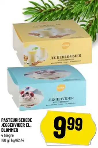PASTEURISEREDE ÆGGEHVIDER EL. BLOMMER