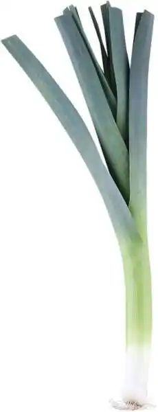 REMA 1000 Porrer, 1 ct tilbud