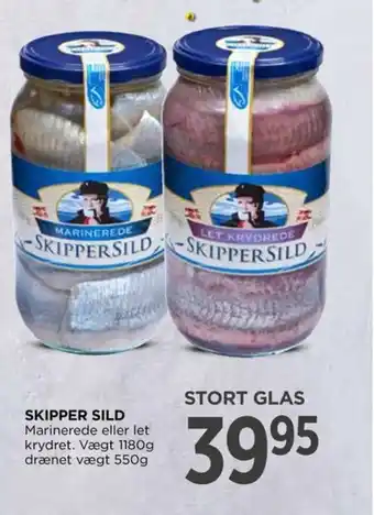 SKIPPER SILD