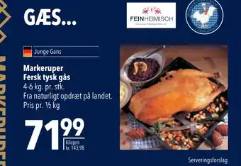 Markeruper fersk tysk gås