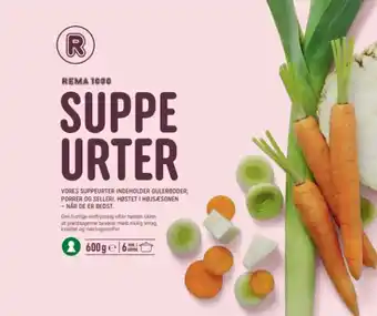 REMA 1000 Suppeurter, 600 g tilbud