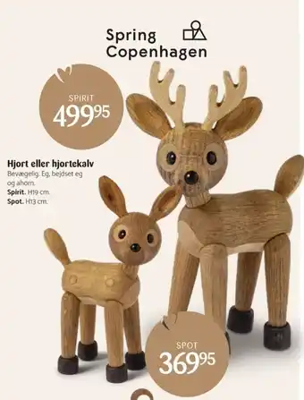 Hjort eller hjortekalv