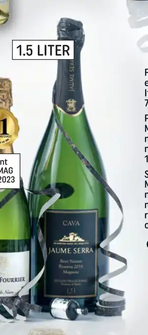 REMA 1000 Jaume serra brut cava reserva magnum spanien, 1,5 liter frisk, mellemfyldig mousserende vin med smag af æble, pære, abrikos, tilbud