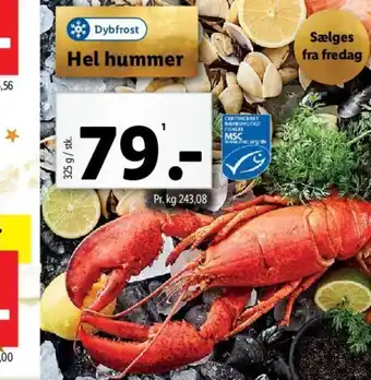 Lidl Hel hummer tilbud