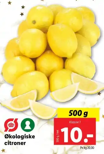 Lidl Økologiske citroner tilbud
