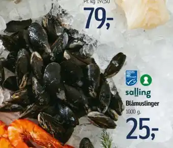 Føtex Salling Blåmuslinger 1000 g. tilbud