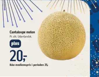 Føtex Cantaloupe melon tilbud