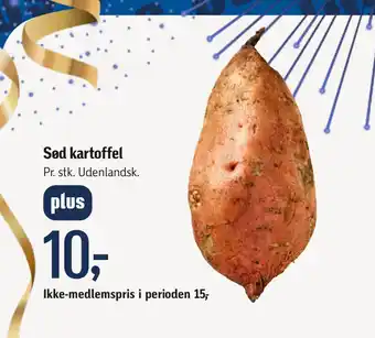 Sød kartoffel
