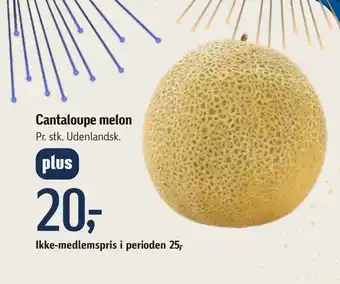 Cantaloupe melon