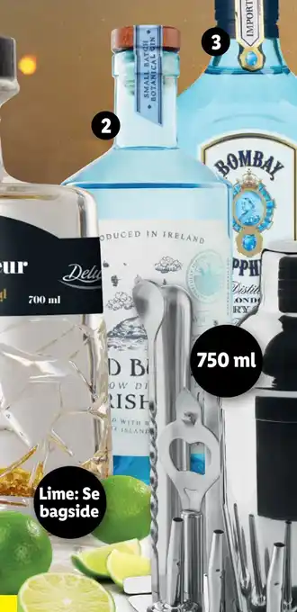 Wild burrow gin