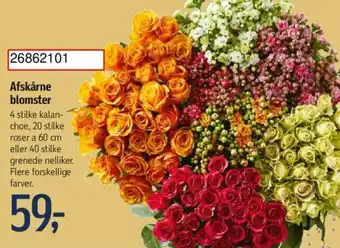 Føtex Afskårne blomster tilbud