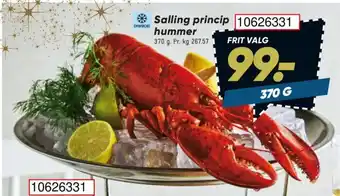 Salling princip hummer