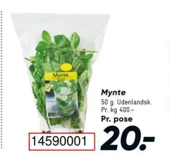 Mynte