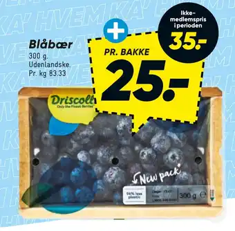 Blåbær