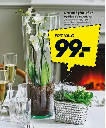 Bilka Orkidé i glas eller nytårsdekoration tilbud