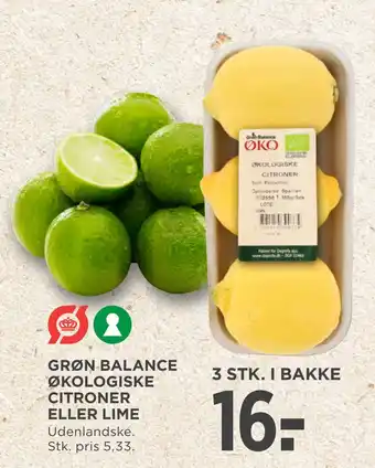 Grøn balance økologiske citroner eller lime