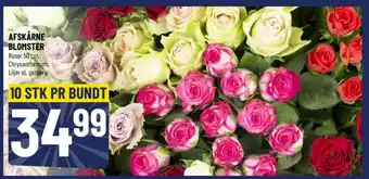 Løvbjerg AFSKÅRNE BLOMSTER tilbud