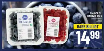 Løvbjerg BLÅBÆR EL. HINDBÆR 125 G tilbud