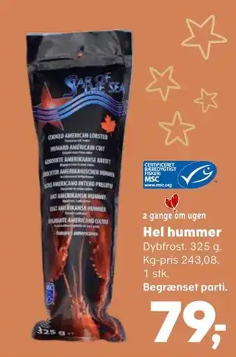 Hel hummer