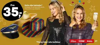 Hatte eller hårbøjler*