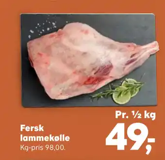 Fersk lammekølle