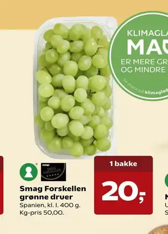 Kvickly Smag Forskellen grønne druer tilbud