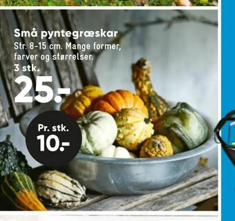 Bilka Små pyntegræskar tilbud