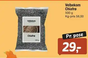 Fakta Tyskland Velbekom Chiafrø tilbud