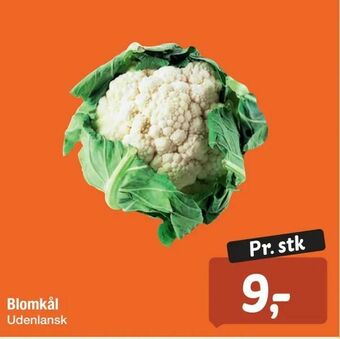 Blomkål