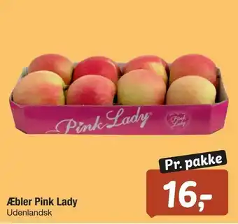 Fakta Tyskland Æbler Pink Lady tilbud