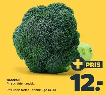 Netto Broccoli tilbud
