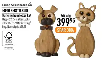 Hanging hund eller kat