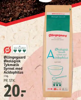 SPAR Øllingegaard økologisk tykmælk syrnet med acidophilus tilbud