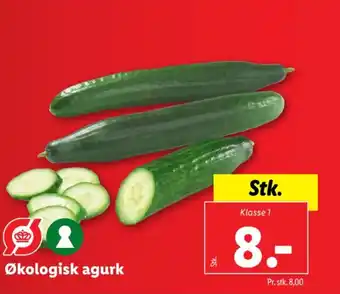 Lidl Økologisk agurk tilbud