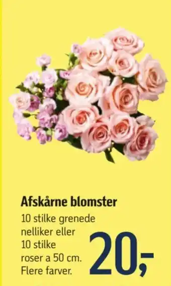 Føtex Afskårne blomster tilbud